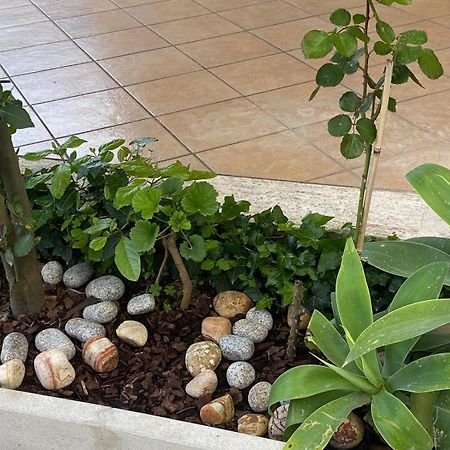 Villa Rita A 200M Dal Mare I Bacini Dış mekan fotoğraf